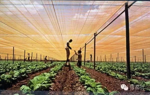 47岁跨界创业 洪爱娟把歙县山核桃变成千万产业