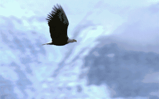 上市公司动态 招商蛇口朱文凯接任董事长晶晨股份拟316亿元收购芯迈微