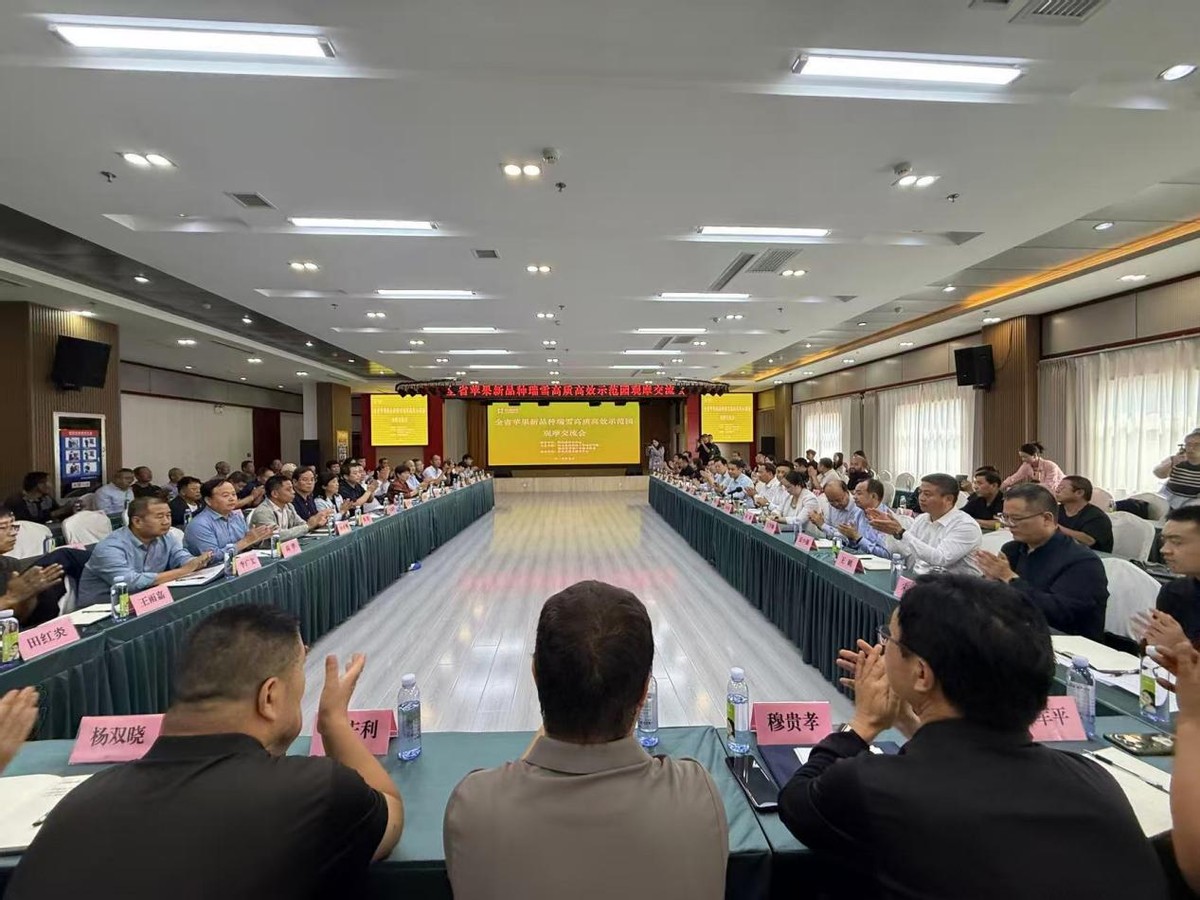 “链”上发力！全省苹果新品种瑞雪高质高效示范园观摩交流会启幕